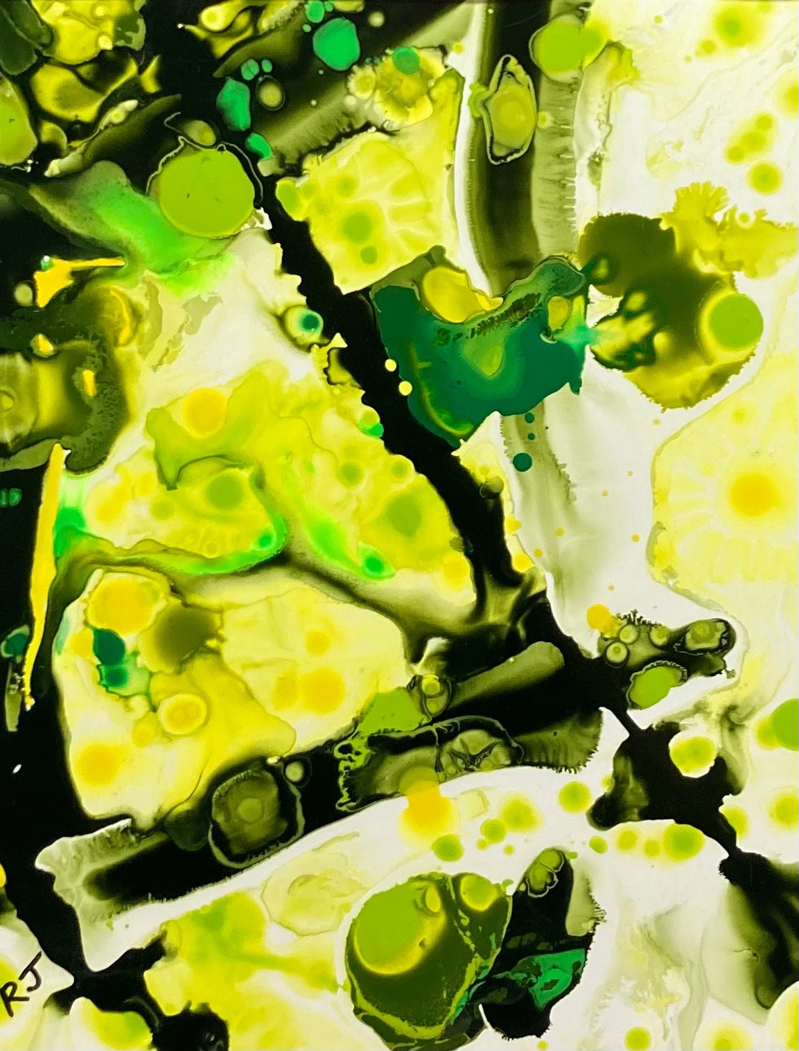 Click here to view Hanging With Greens by Rudite Jaunarajs